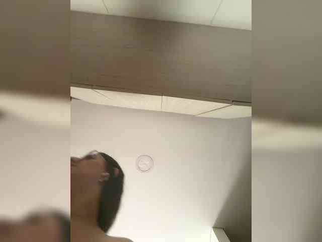 EvanShell1 EvanShell1