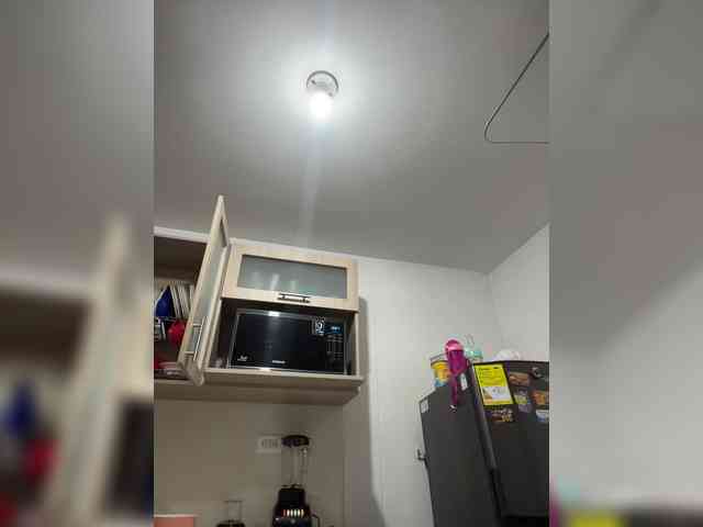 EvanShell1 webcam