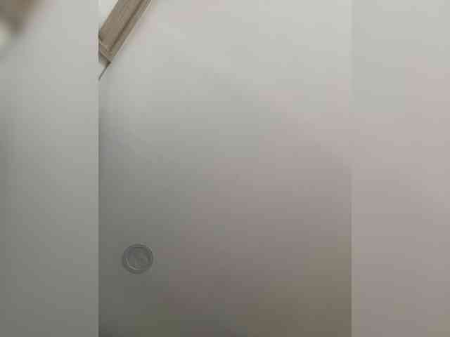 EvanShell1 webcam