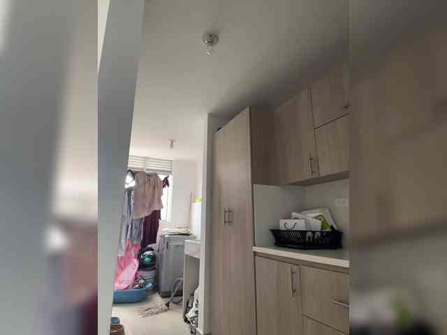 EvanShell1 webcam