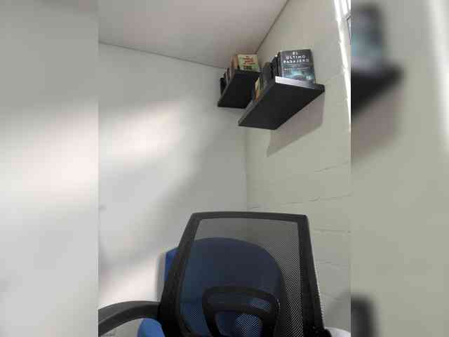 EvanShell1 webcam