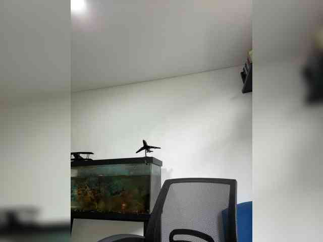 EvanShell1 webcam