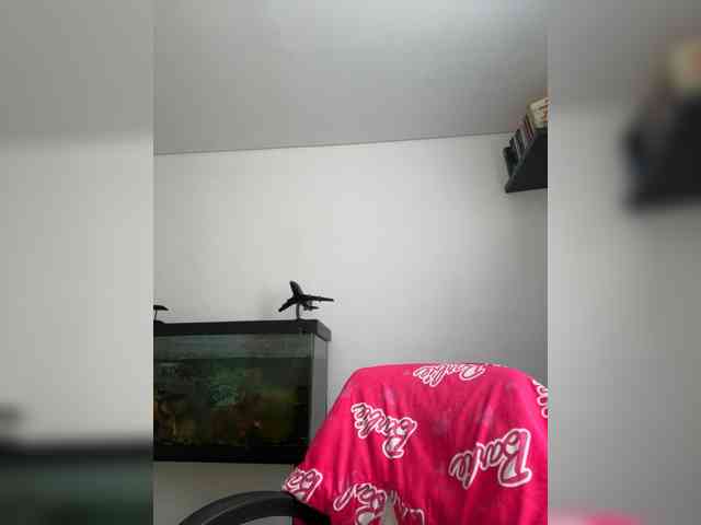 EvanShell1 webcam