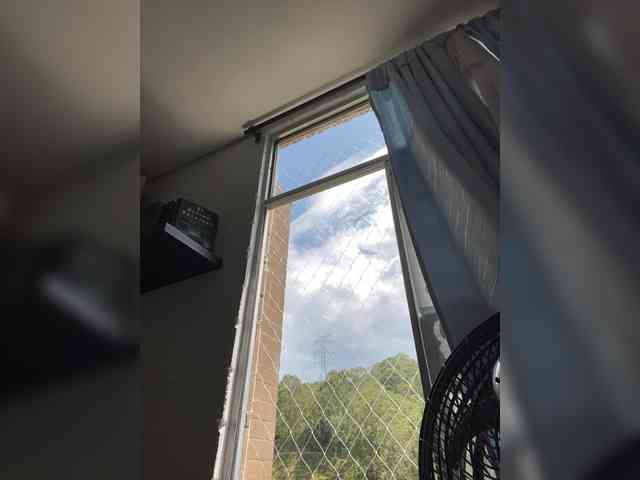 EvanShell1 webcam