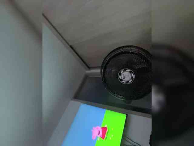EvanShell1 webcam