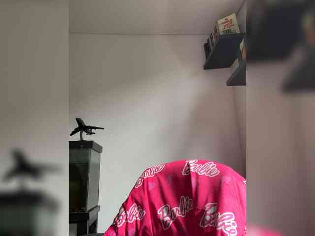 EvanShell1 webcam