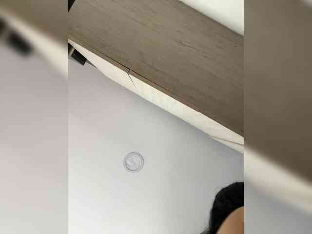 EvanShell1 webcam