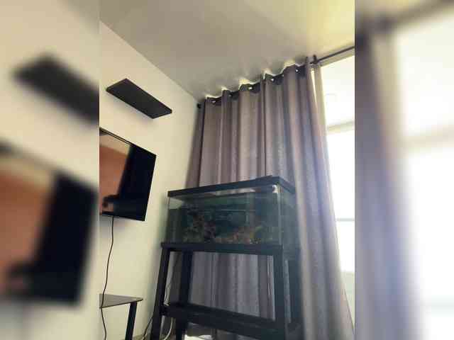 EvanShell1 webcam