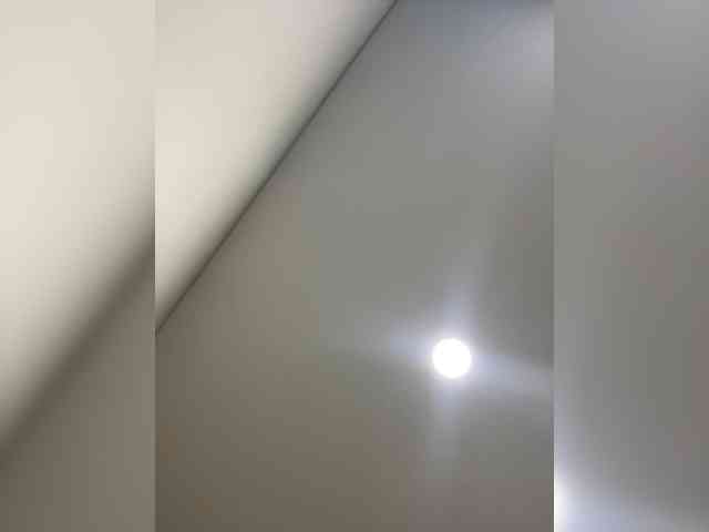 EvanShell1 webcam