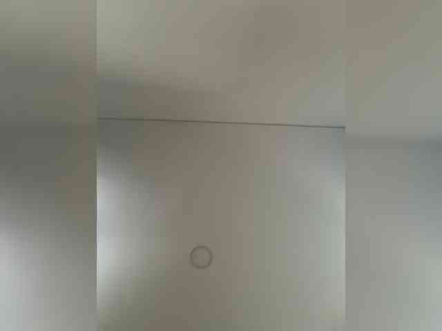 EvanShell1 EvanShell1