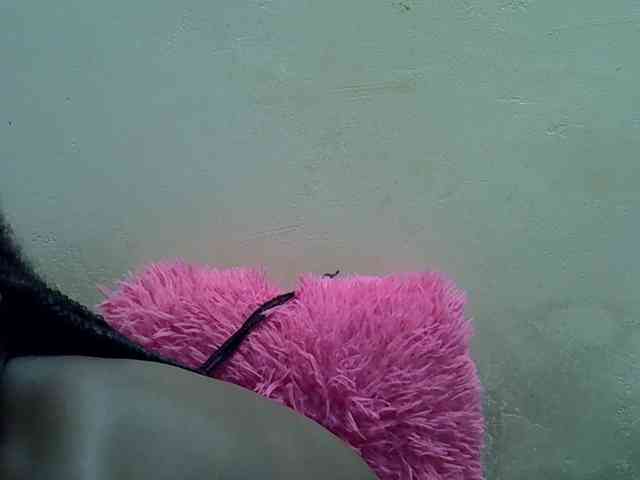 blackyberry webcam