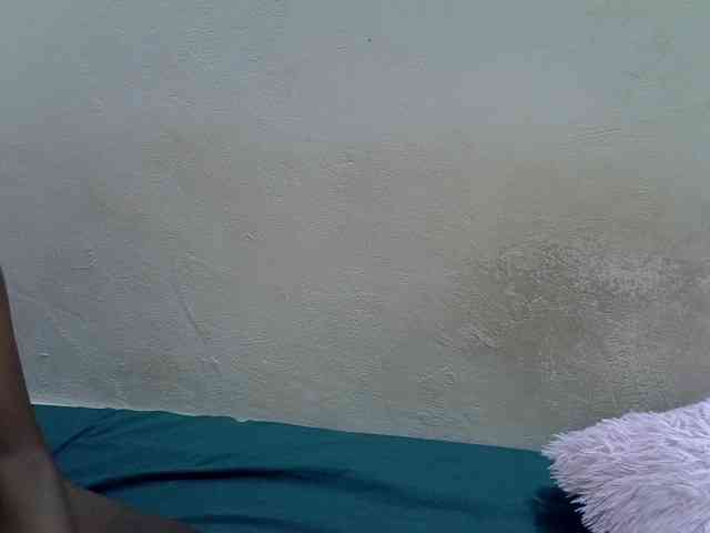 blackyberry webcam