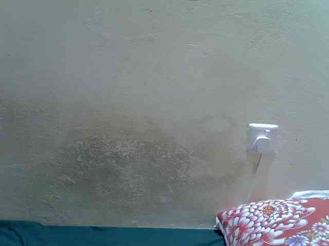 blackyberry webcam