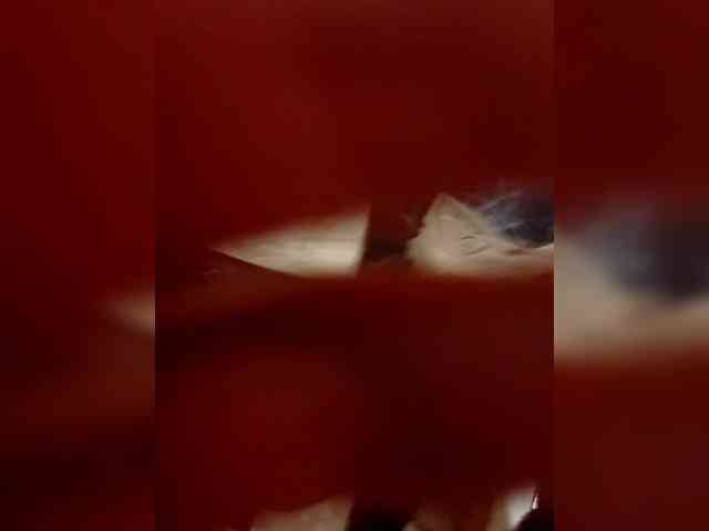 empatia Live Webcam on BongaCams