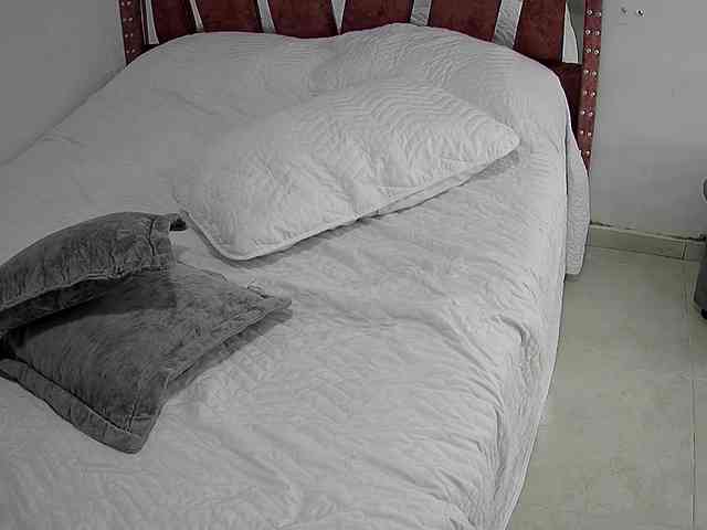 dukan-n-yuri webcam