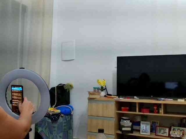 queengeek webcam