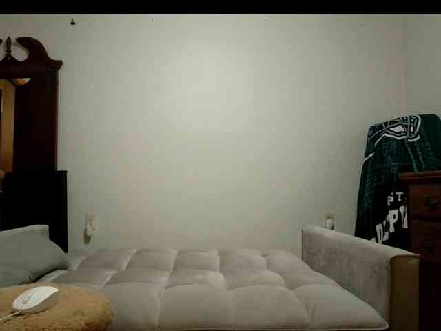 OrganzaK webcam