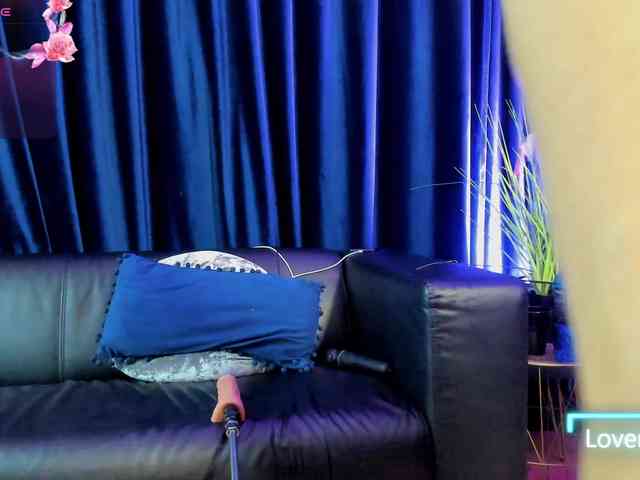 rosa-catalleya webcam