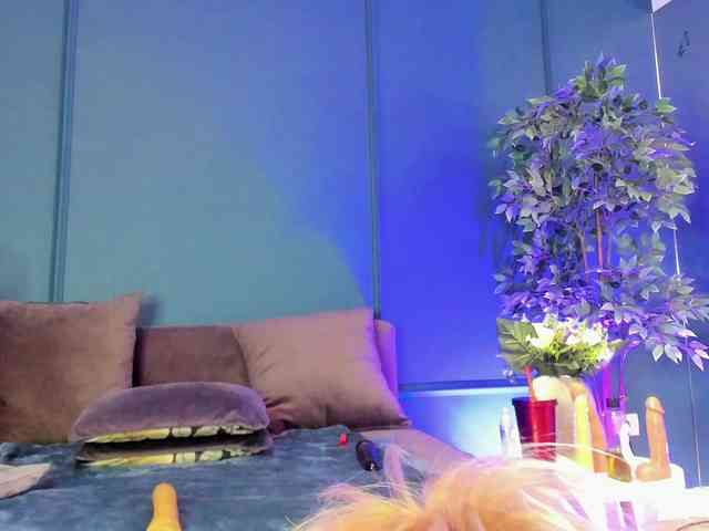 rosa-catalleya webcam
