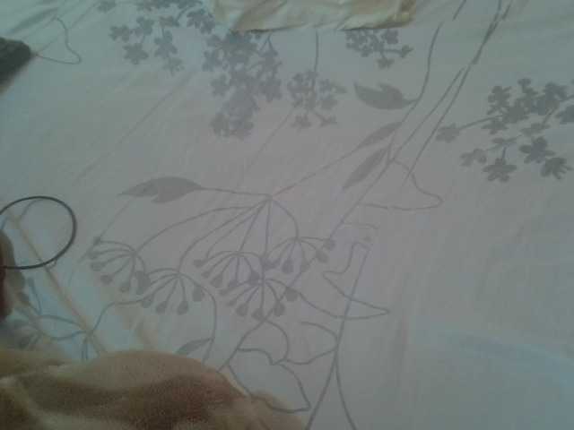 Tashabea's BongaCams show and profile