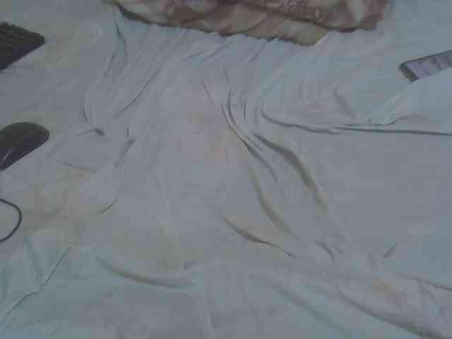 Tashabea webcam