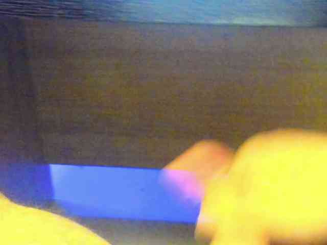 1KsandeR1Ai webcam