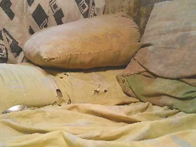 NaughtyWetPieXx's BongaCams show and profile