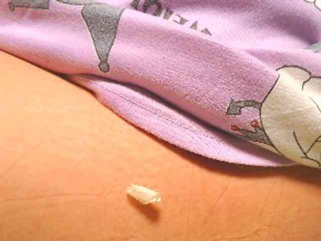 NaughtyWetPieXx webcam