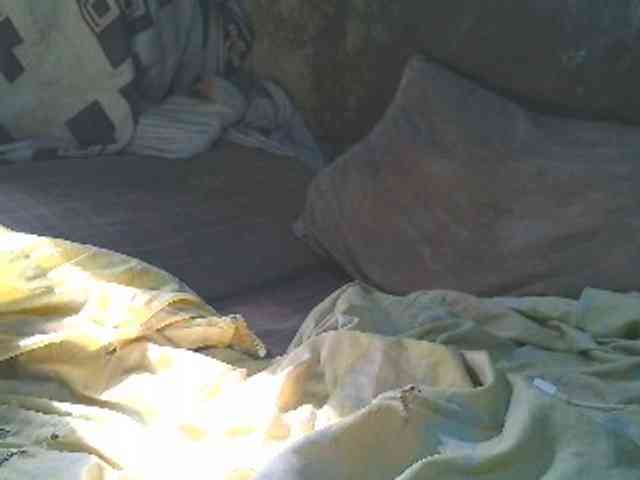 NaughtyWetPieXx webcam