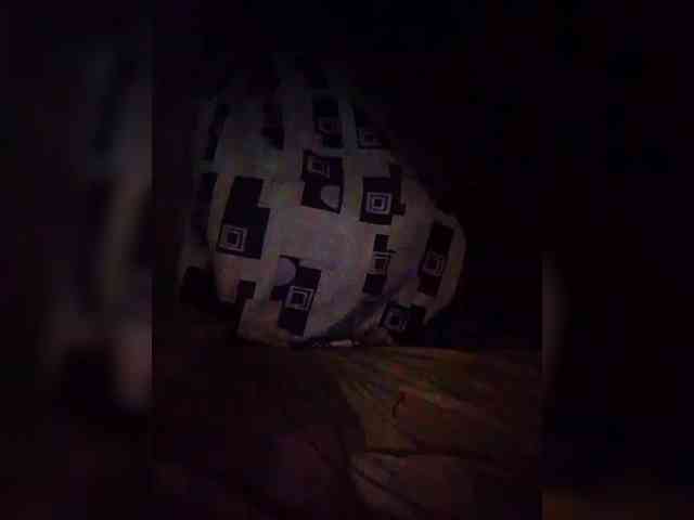 NaughtyWetPieXx webcam