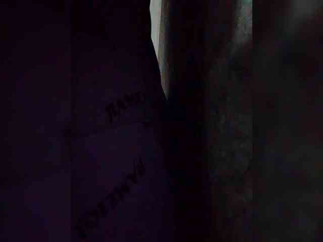 NaughtyWetPieXx webcam