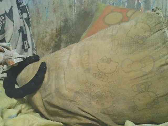 NaughtyWetPieXx webcam