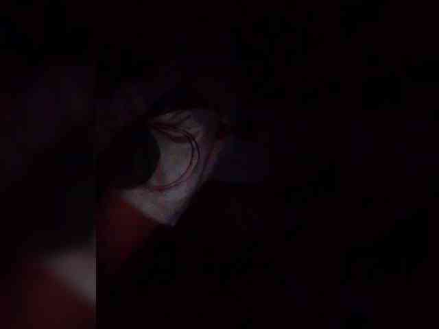 NaughtyWetPieXx webcam