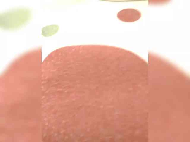 NaughtyWetPieXx NaughtyWetPieXx