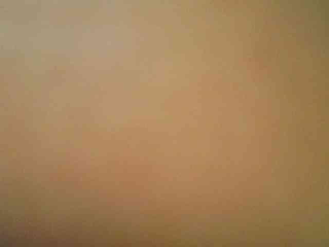 NaughtyWetPieXx webcam