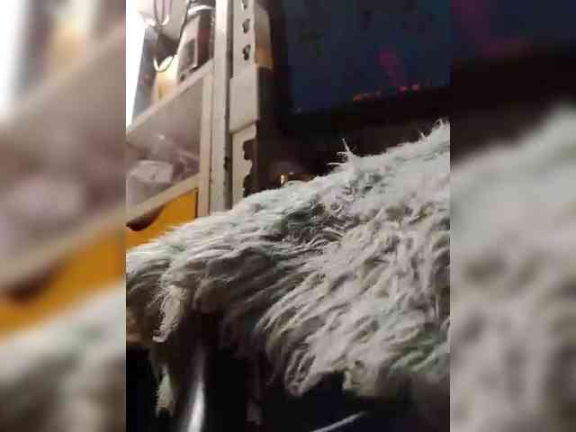 NaughtyWetPieXx webcam