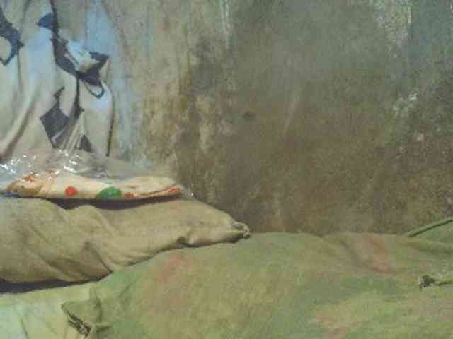 NaughtyWetPieXx webcam