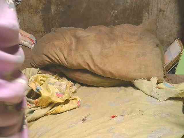 NaughtyWetPieXx webcam