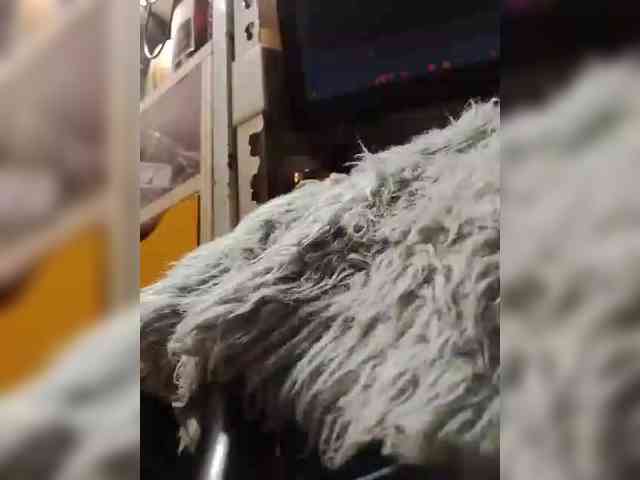 NaughtyWetPieXx webcam