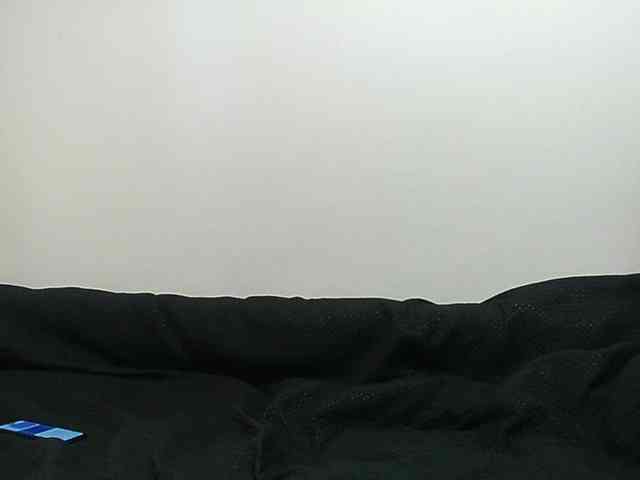 JanetJay webcam