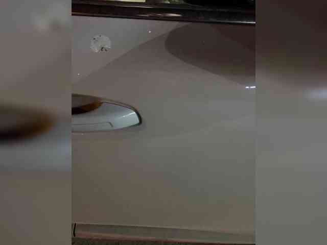YuGoVi webcam