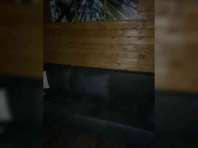 YuGoVi webcam
