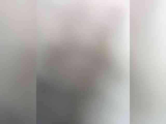YuGoVi webcam