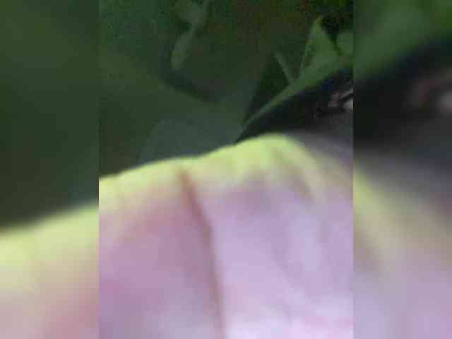 YuGoVi webcam