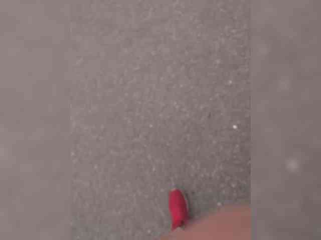 cam sex chat YuGoVi