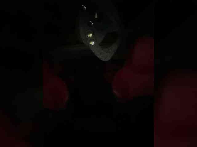 YuGoVi webcam