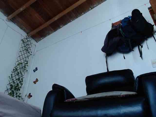 calioppe1