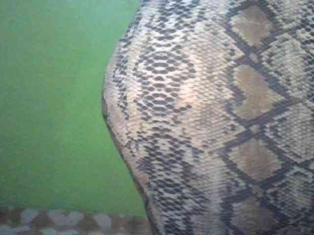 alarah274 Live Webcam on BongaCams