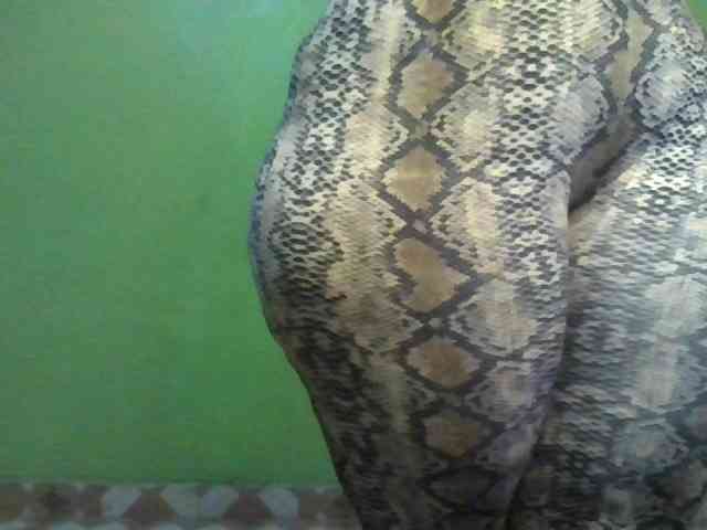 alarah274 webcam