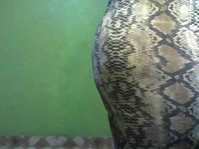 alarah274 webcam